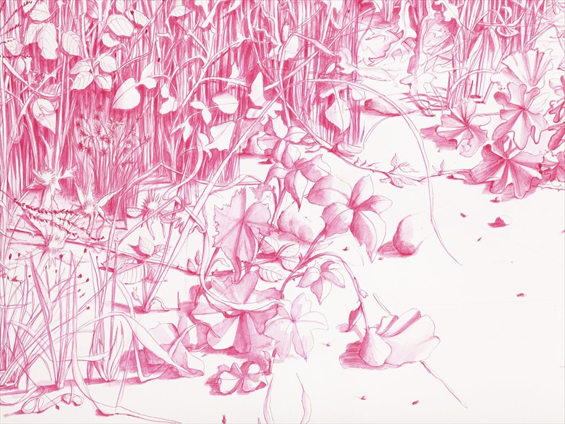 <span class=titre_dessin>el jardin (détail)</span>dessin soufre d'allumette et crayon de couleur sur papier(rouleau),<br />450 x 300 cm, 2013