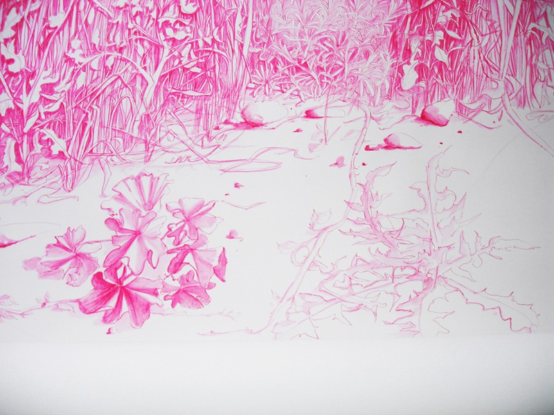 <span class=titre_dessin>el jardin del amor (détail)</span>dessin à la tête d'allumette et crayon de couleur sur papier en rouleau, <br />de 150 x 600 cm, 2011