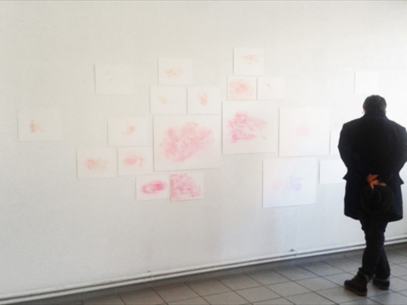 <span class=titre_dessin>vidas (vue d'ensemble avec l'écrivain)</span>7 artistes lisent  vidas de Christian Garcin<br />dessins crayon de couleur et soufre d'allumette sur papier buvard, formats variés, 2015<br />Artothèque Antonin Artaud.