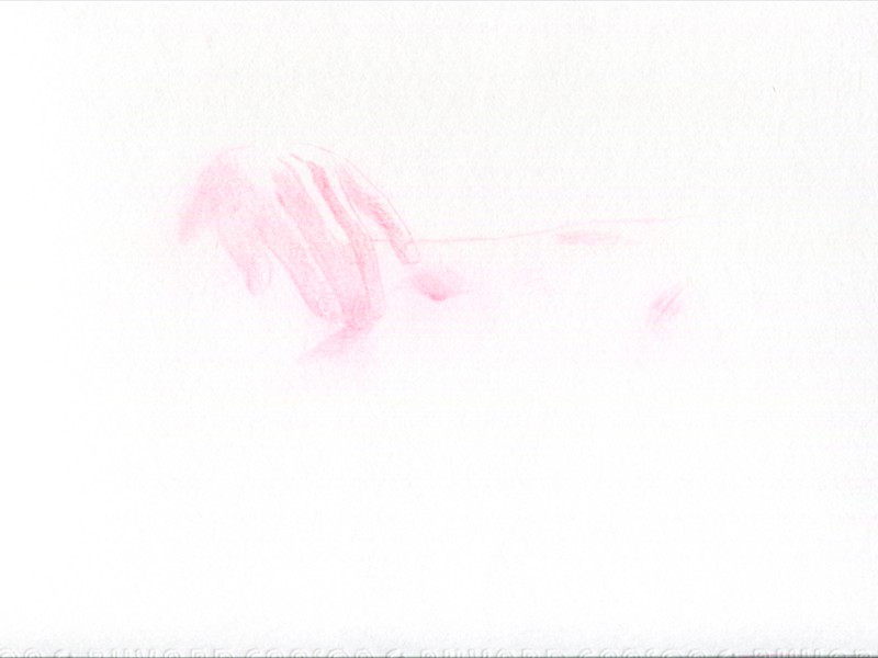 <span class=titre_dessin>vidas</span>7 artistes lisent  vidas de Christian Garcin<br />dessins crayon de couleur et soufre d'allumette sur papier buvard, formats variés, 2015<br />Artothèque Antonin Artaud