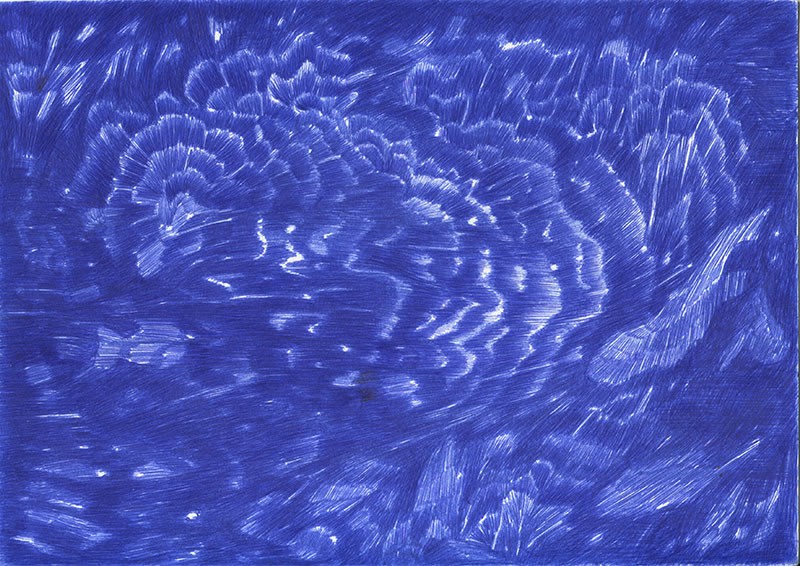 <span class=titre_dessin>Vers Cythère,</span>Dessin ricochet (bleu), stylo bille sur papier, 21 x 30 cm, encadrés blanc, 2018